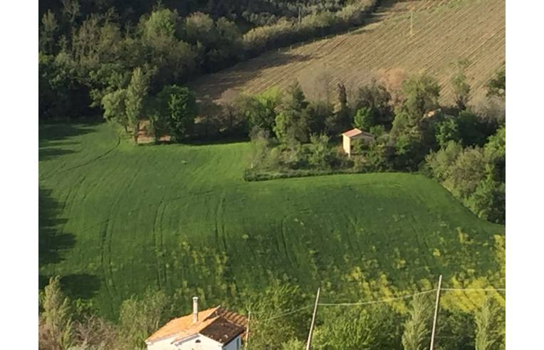 immagine annuncio 5 di 6