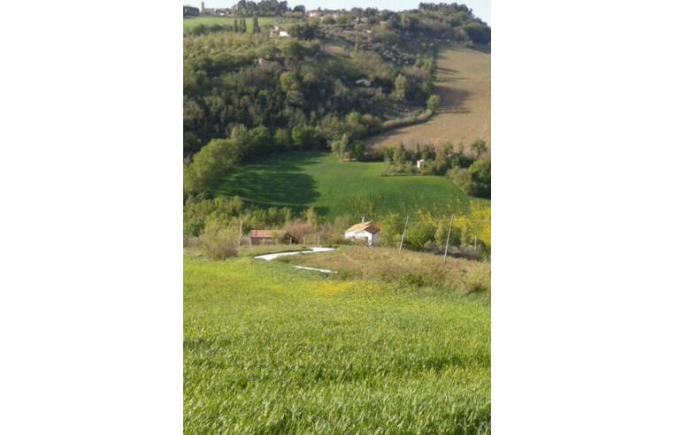 immagine annuncio 4 di 6