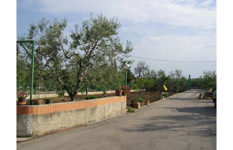 immagine annuncio 6 di 7