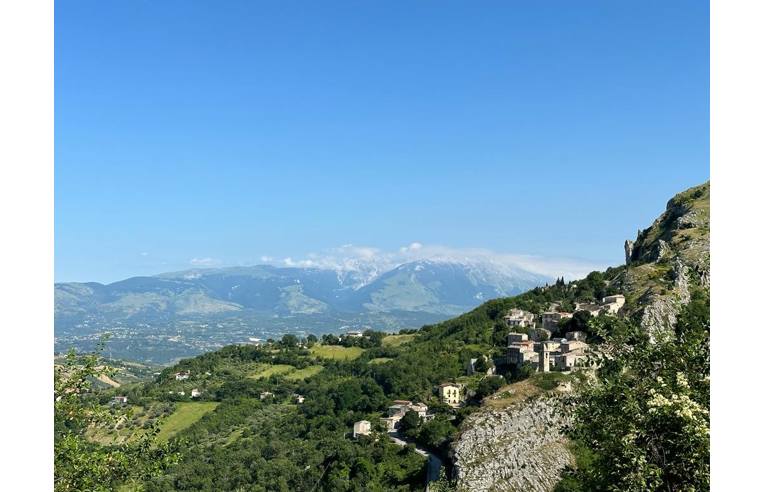 immagine annuncio 6 di 7