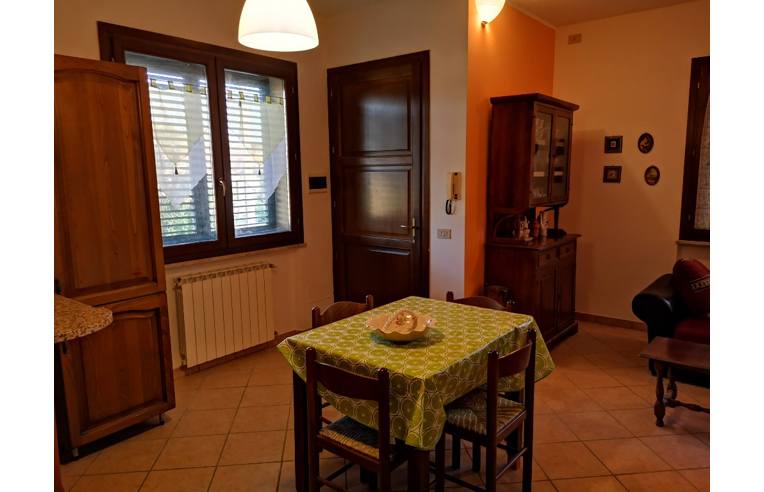 immagine annuncio 3 di 7