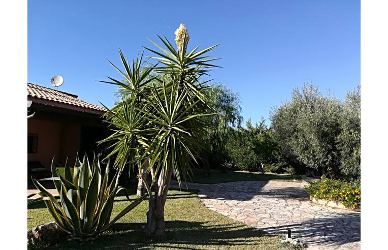 immagine annuncio 3 di 7