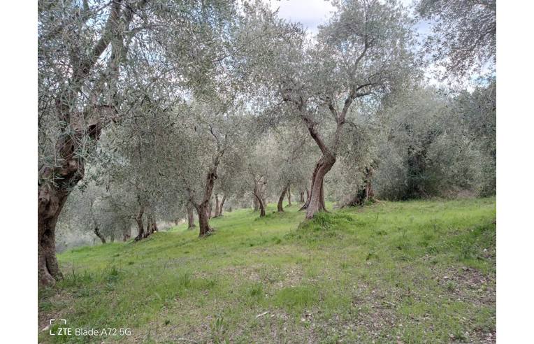 immagine annuncio 5 di 7