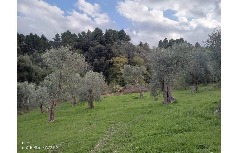 immagine annuncio 4 di 7