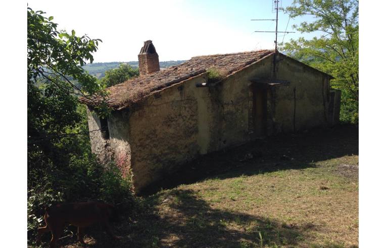 immagine annuncio 2 di 7
