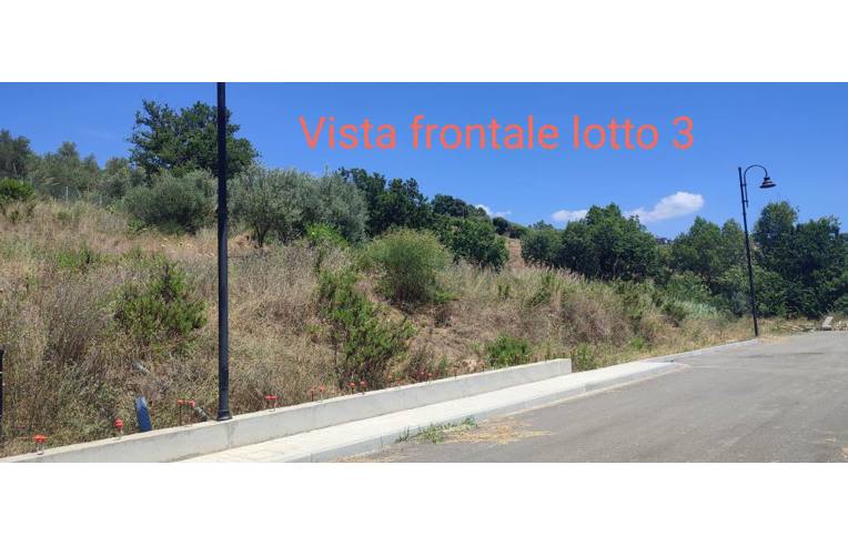 immagine annuncio 3 di 6