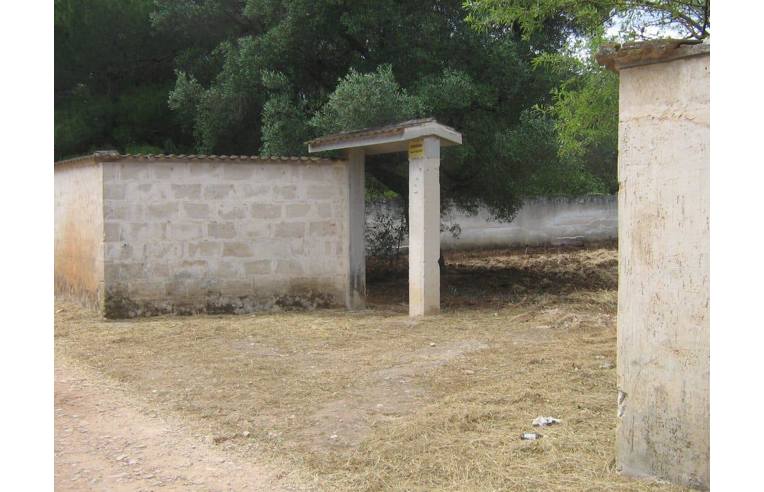 immagine annuncio 1 di 4