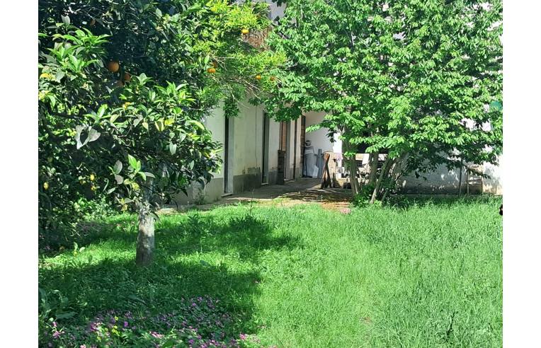 immagine annuncio 5 di 7