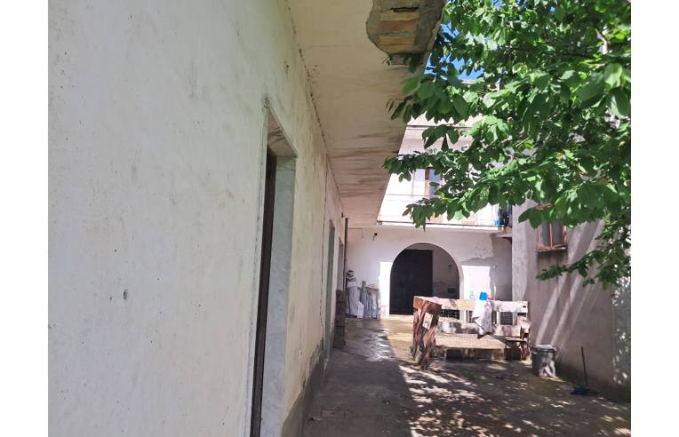 immagine annuncio 6 di 7