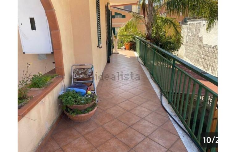 immagine annuncio 3 di 6