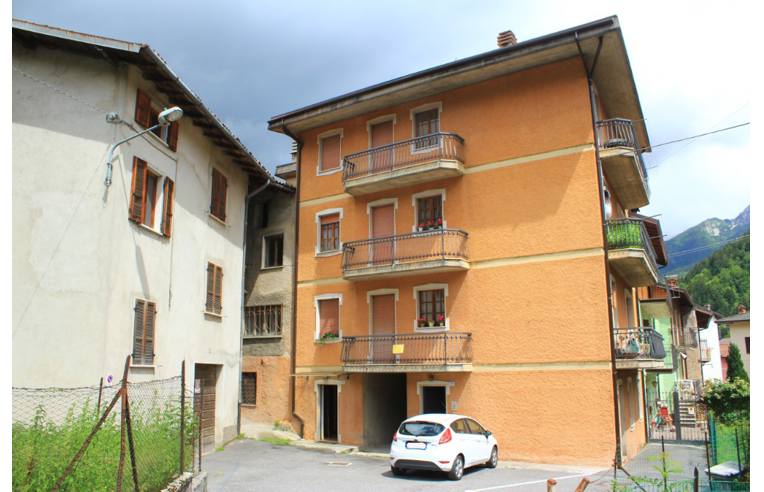 immagine annuncio 6 di 7