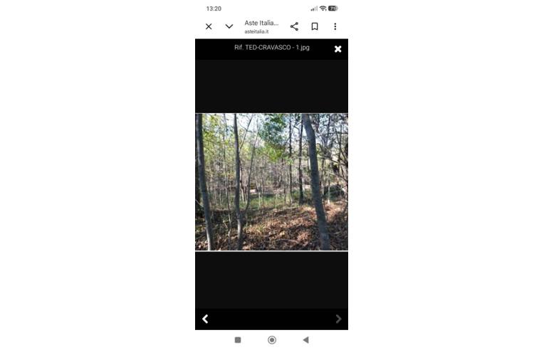 immagine annuncio 2 di 4