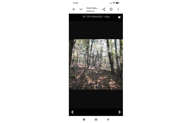 immagine annuncio 1 di 4