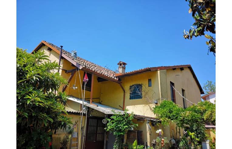 immagine annuncio 1 di 7