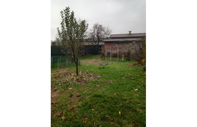 immagine annuncio 6 di 7