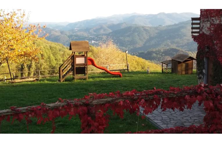 immagine annuncio 3 di 7