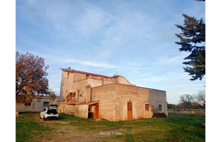 immagine annuncio 4 di 7