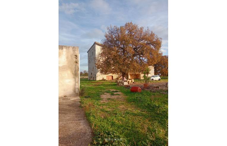 immagine annuncio 2 di 7