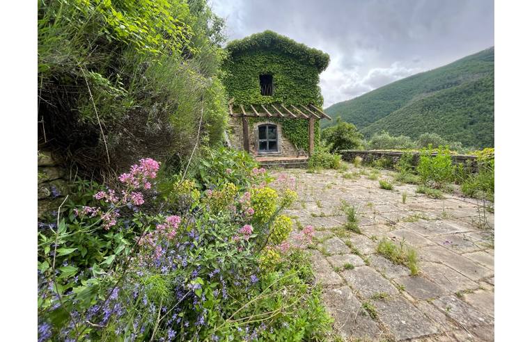 immagine annuncio 6 di 7