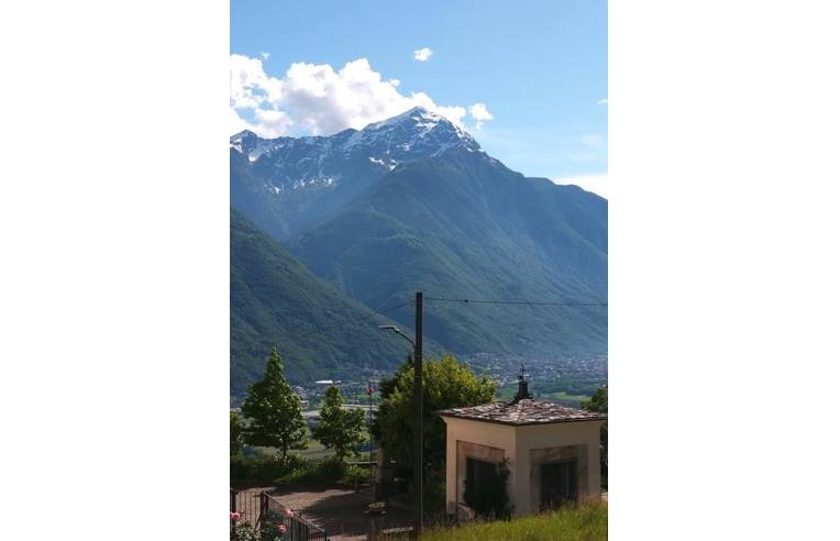 immagine annuncio 6 di 7