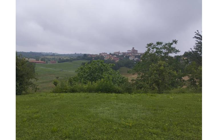 immagine annuncio 1 di 2