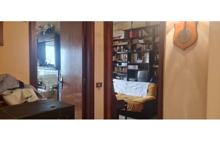 immagine annuncio 3 di 7