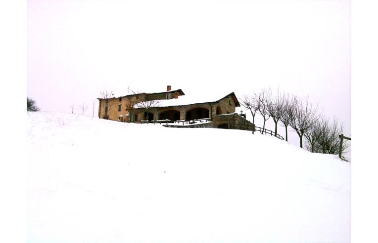 immagine annuncio 3 di 7