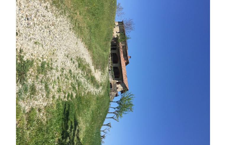 immagine annuncio 2 di 7