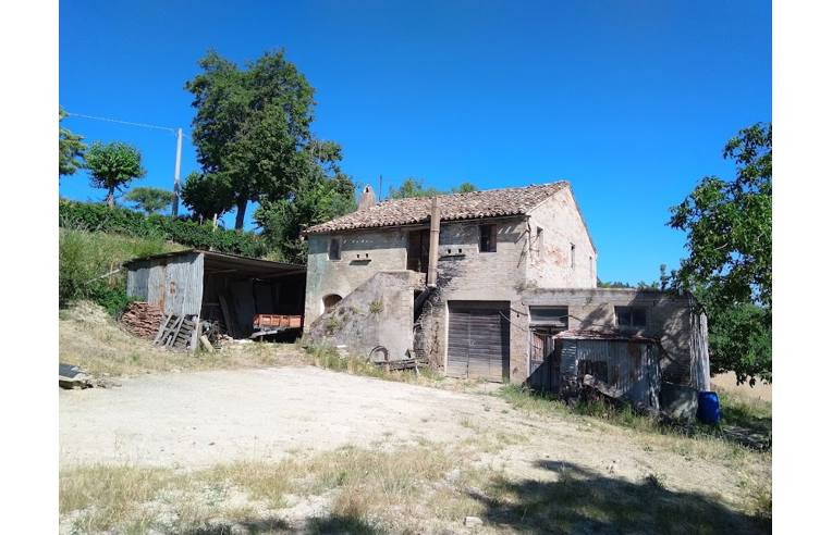 immagine annuncio 5 di 7