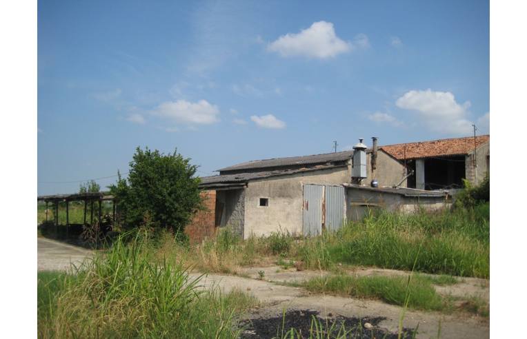 immagine annuncio 4 di 7