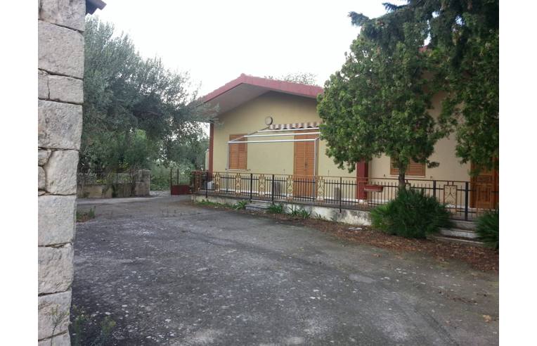 immagine annuncio 6 di 7