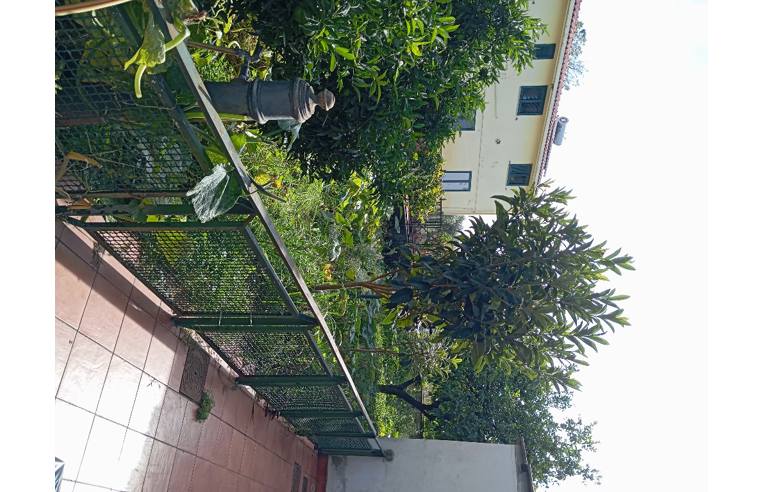 immagine annuncio 3 di 7