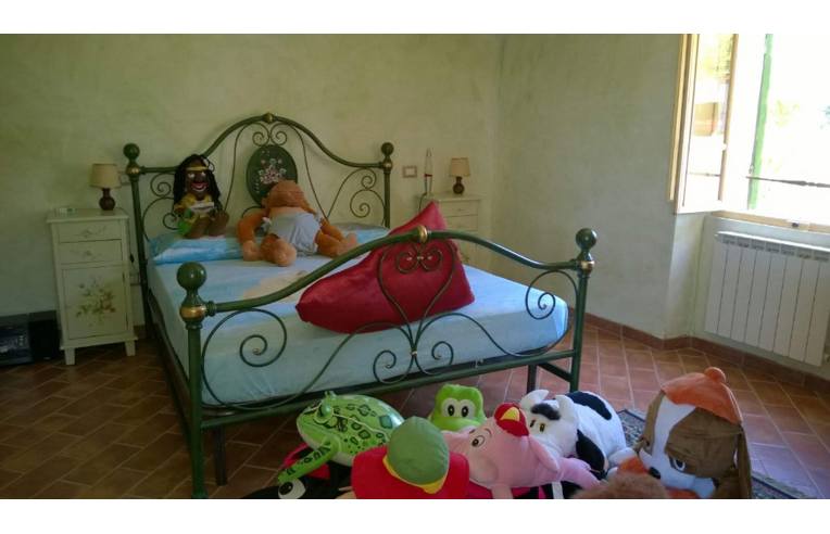 immagine annuncio 5 di 7