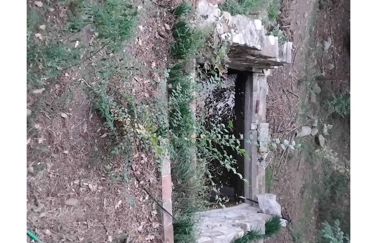 immagine annuncio 6 di 7