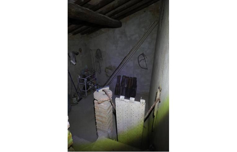 immagine annuncio 2 di 6