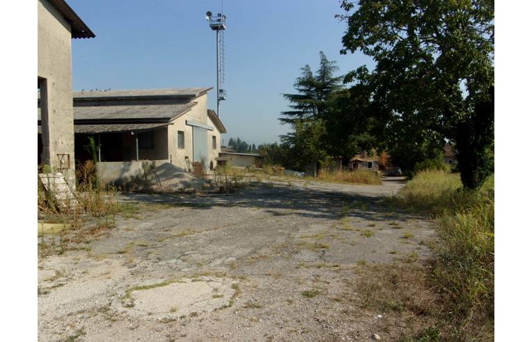 immagine annuncio 4 di 7