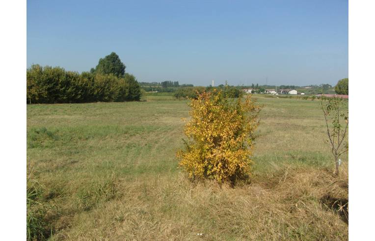 immagine annuncio 6 di 7
