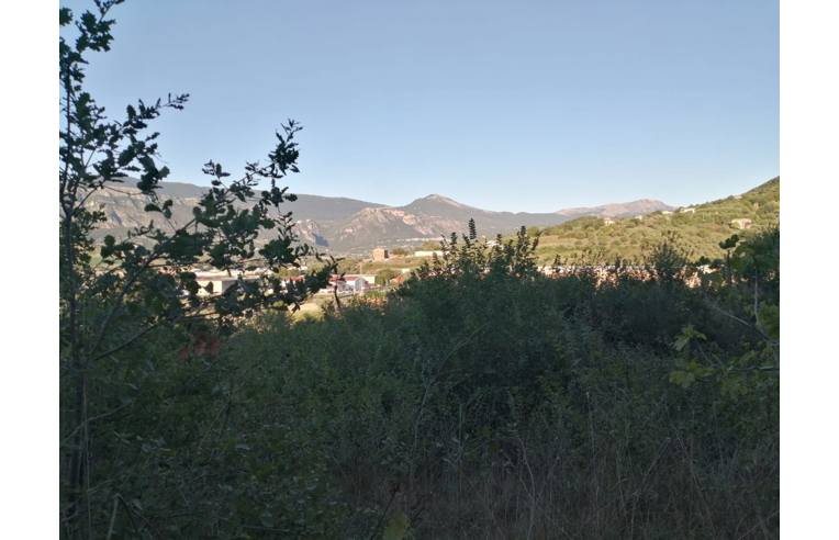 immagine annuncio 1 di 7