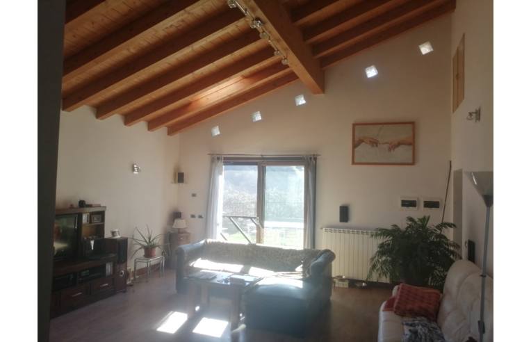 immagine annuncio 2 di 7
