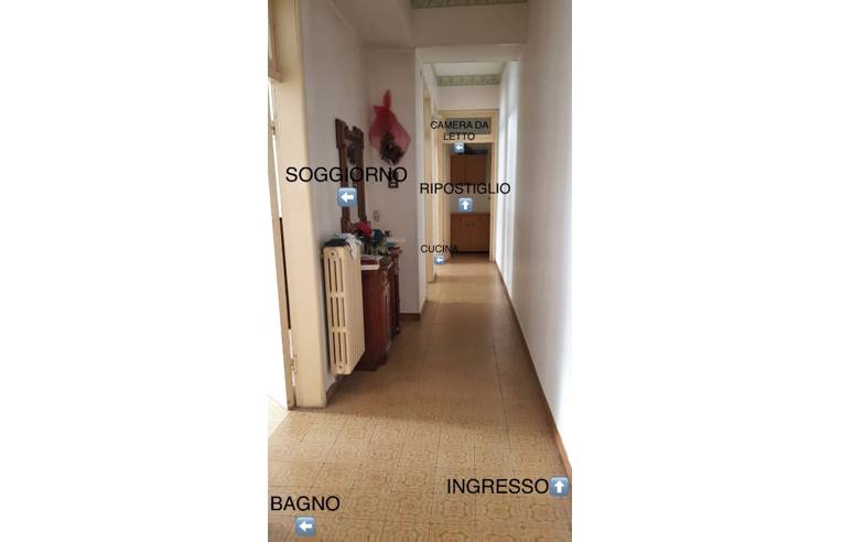 immagine annuncio 1 di 7