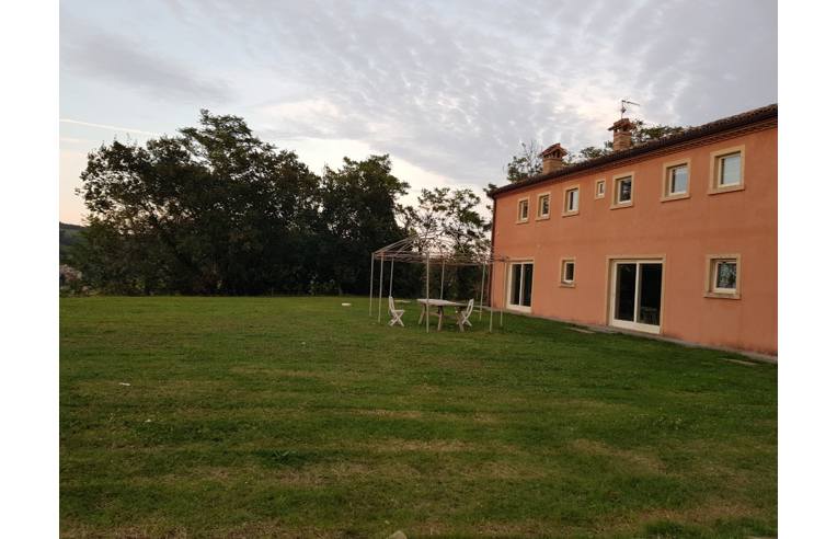 immagine annuncio 5 di 7