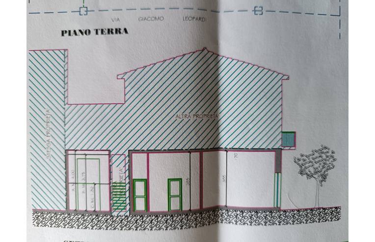 immagine annuncio 2 di 4