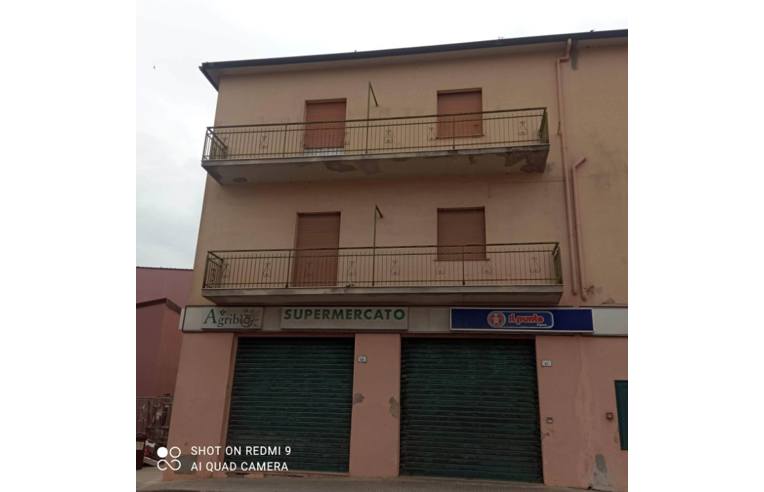 immagine annuncio 2 di 7