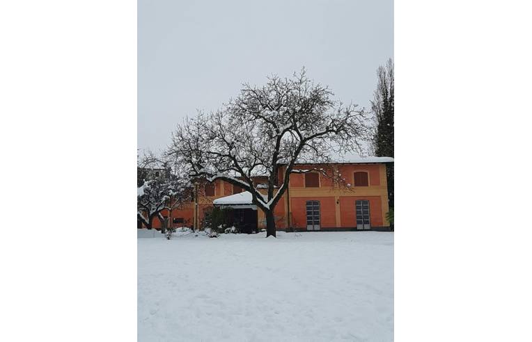 immagine annuncio 6 di 7