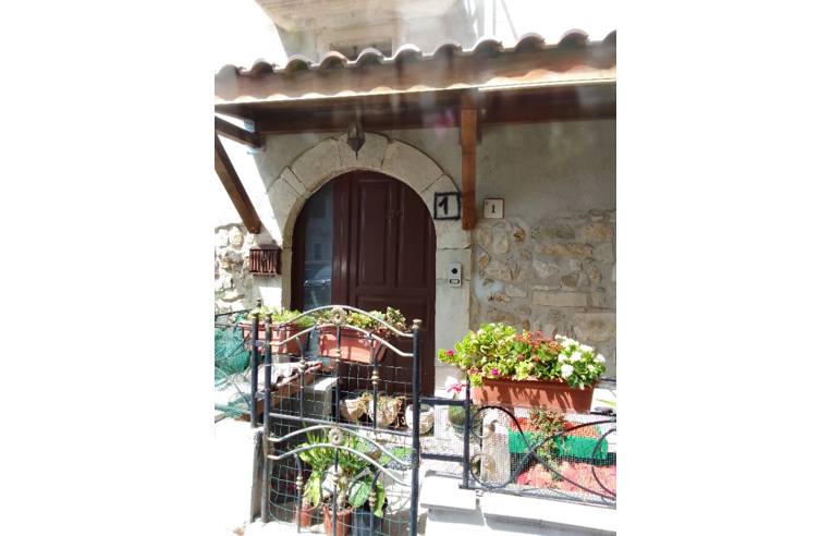 immagine annuncio 2 di 7