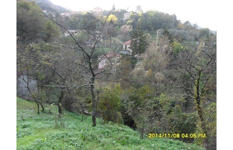 immagine annuncio 4 di 7