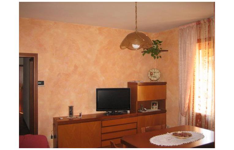 Foto 2 - Appartamento in Vendita da Privato - Vergato (Bologna)