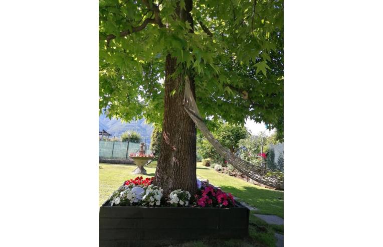 immagine annuncio 4 di 7