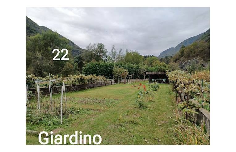 immagine annuncio 6 di 7