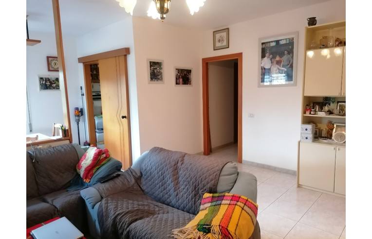 immagine annuncio 4 di 6